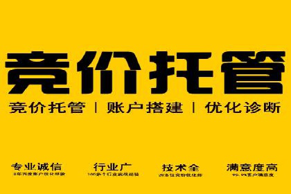 SEM实战案例：案例分析广告效果评估